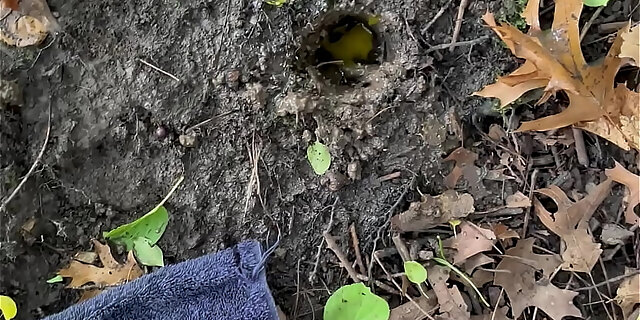 amateur,bukkake,cum,dirty,messy,outdoor